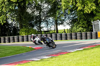 cadwell-no-limits-trackday;cadwell-park;cadwell-park-photographs;cadwell-trackday-photographs;enduro-digital-images;event-digital-images;eventdigitalimages;no-limits-trackdays;peter-wileman-photography;racing-digital-images;trackday-digital-images;trackday-photos